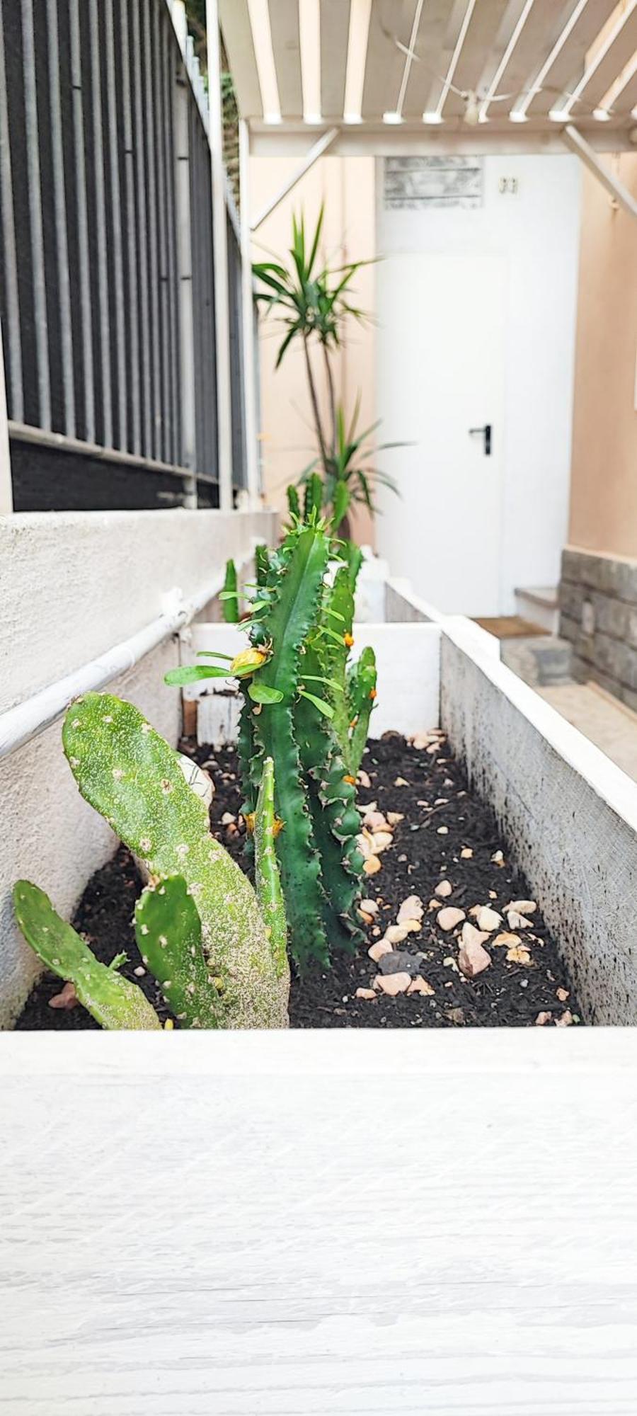 Bibliososta Anche Al 1° Piano Anno 2024 Appartement Ventimiglia Buitenkant foto